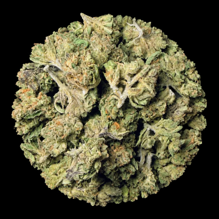 Thin Mint Cookies THCA Flower
