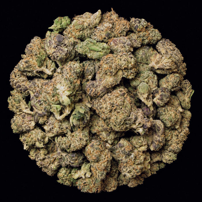 Super Runtz THCA Flower