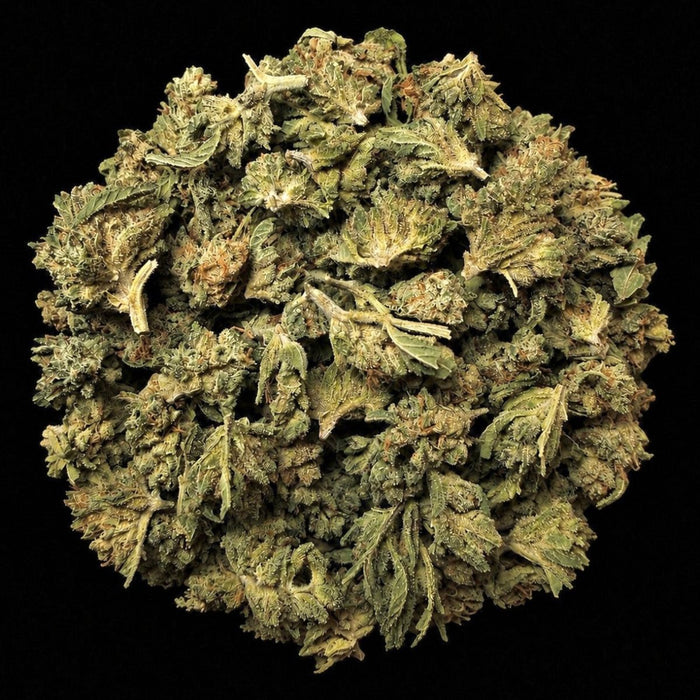 Amaretto Mintz THCA Flower - Lost In Translation