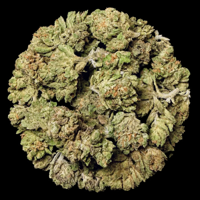 Blackberry Kush THCA Flower