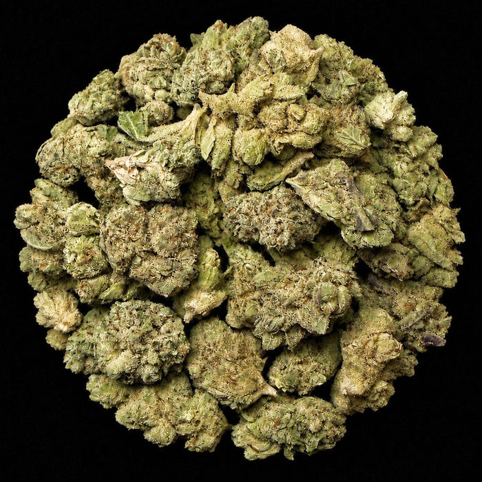Jealousy THCA Flower