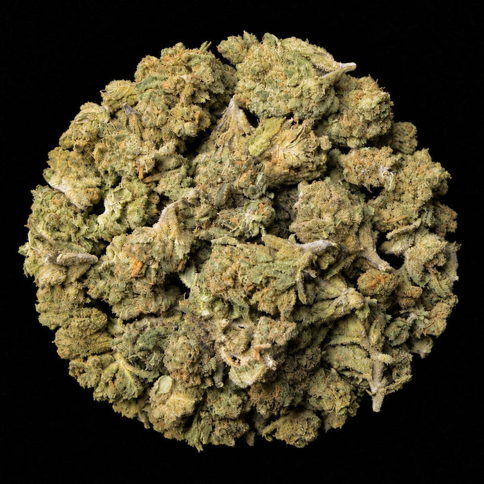 Lemon Cherry Gelato THCA Flower