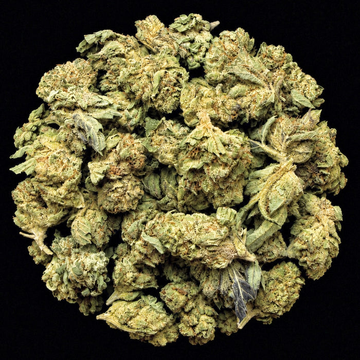 Pink Pluto THCA Flower