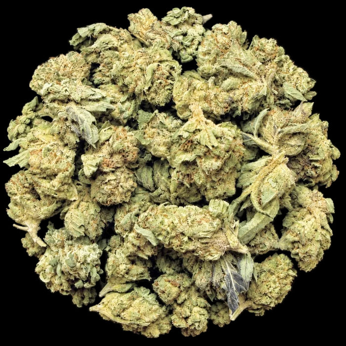 Pink Pluto THCA Flower