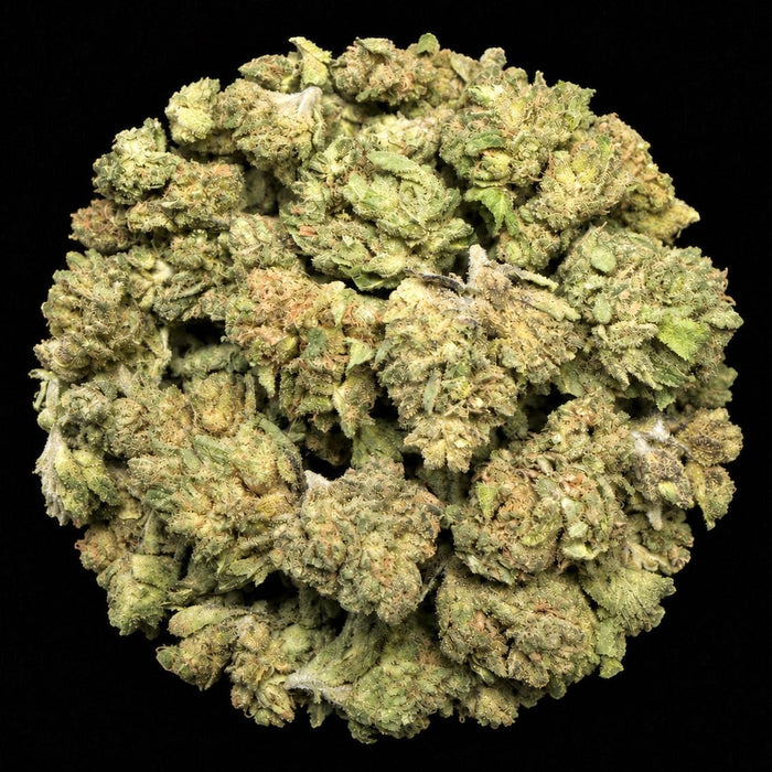 Sherbanger THCA Flower - Lost In Translation