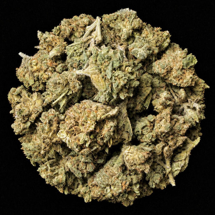 Lipsmackers THCA Flower - Lost In Translation