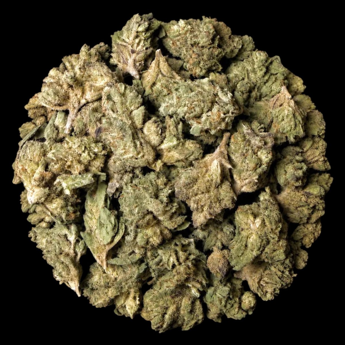 Guava Runtz THCA Flower - Lost In Translation