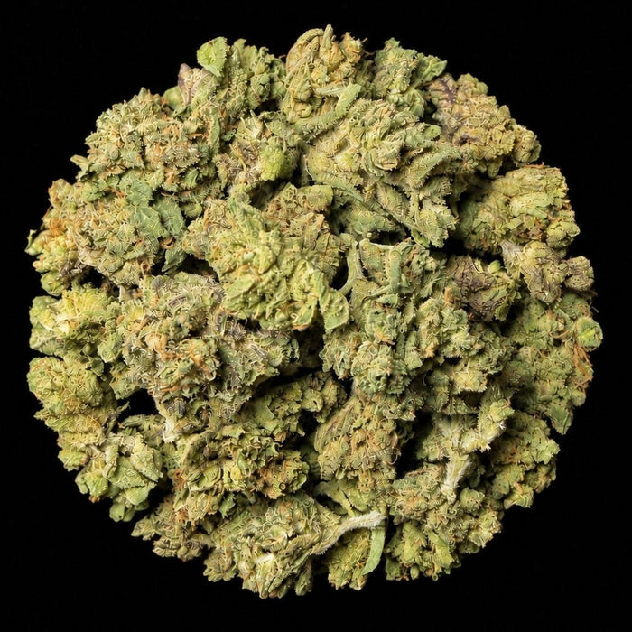 Rainbow Runtz THCA Flower - Lost In Translation