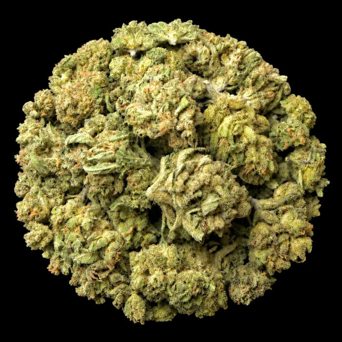 Chem Dog THCA Flower - Lost In Translation