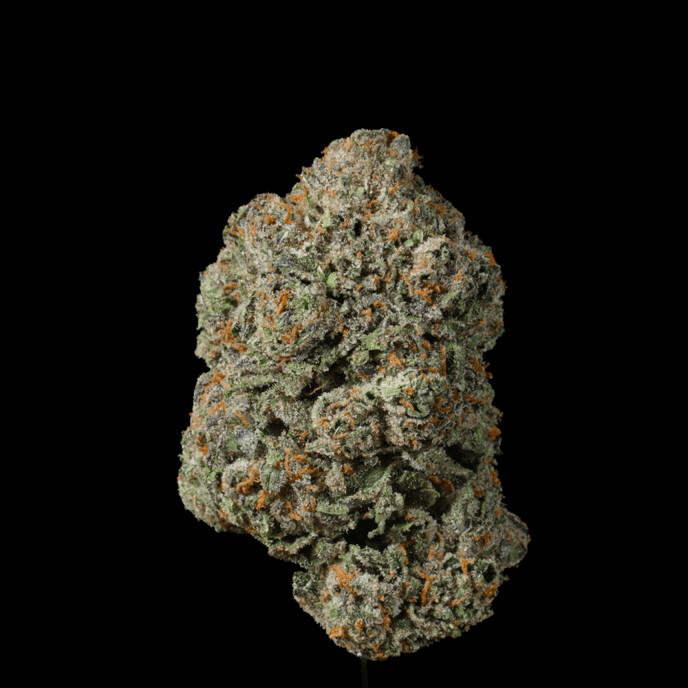 Cheesecake THCA Flower - Lost In Translation