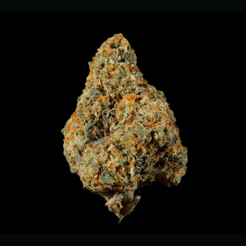 Cheetah Runtz THCA Flower - Lost In Translation