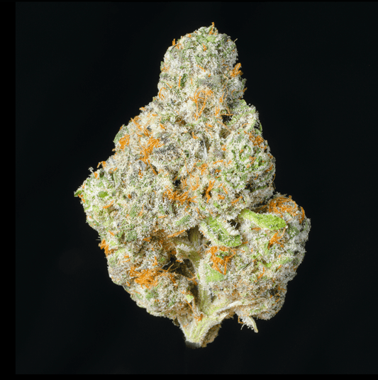 Cheetah Piss THCA Flower - Lost In Translation