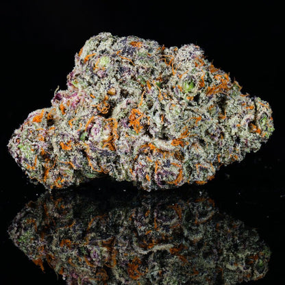 Cheetah Runtz THCA Flower - Lost In Translation