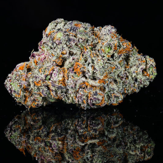 Cheetah Runtz THCA Flower - Lost In Translation