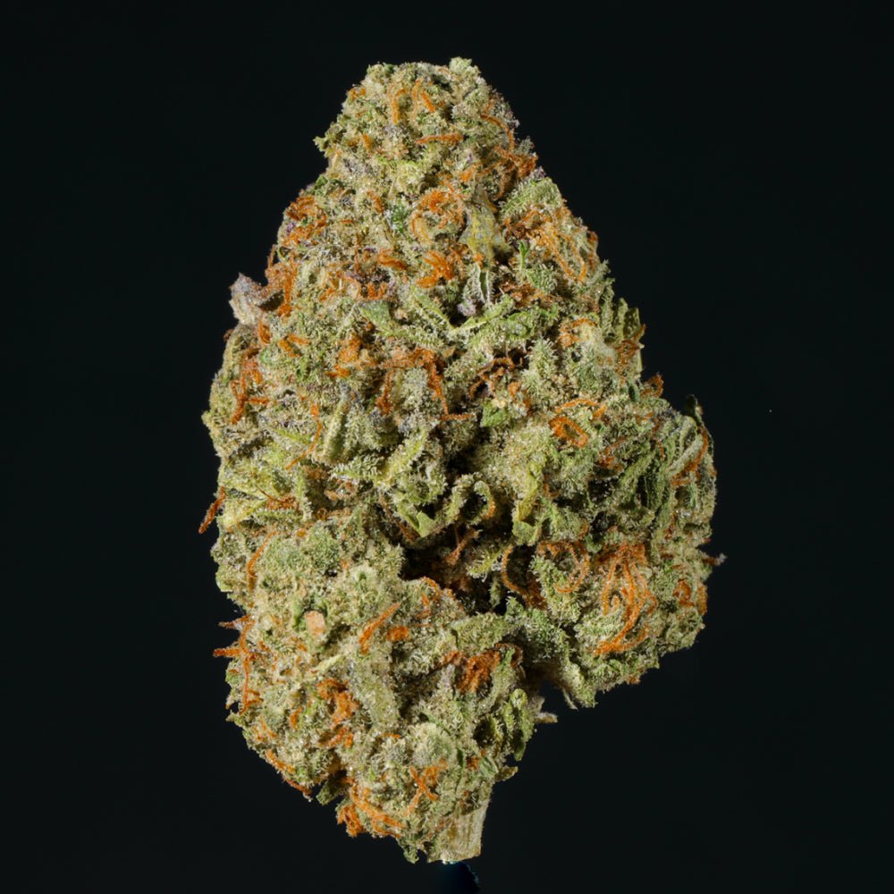 Cherry Ice THCA Flower - Lost In Translation