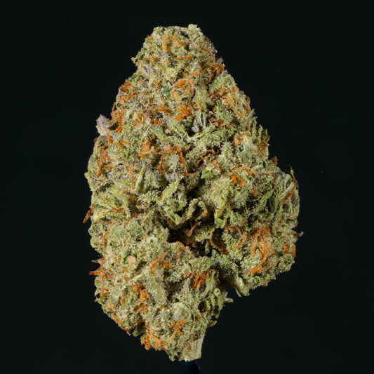 Cherry Ice THCA Flower - Lost In Translation