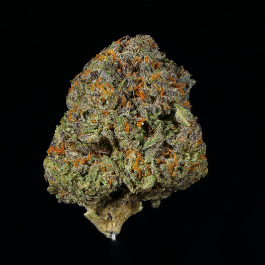 Cherry Bomb THCA Flower - Lost In Translation