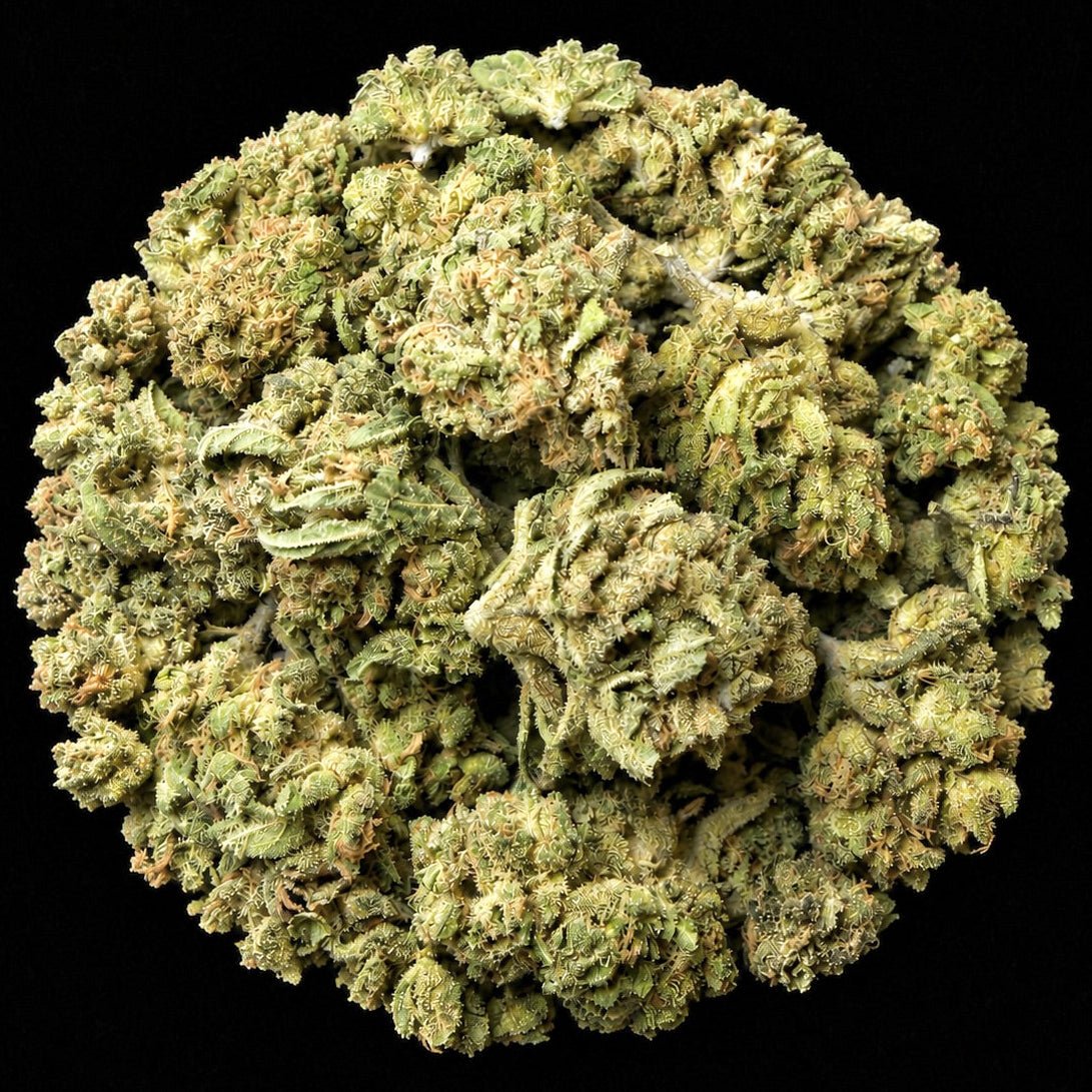Chem Dog THCA Flower - Lost In Translation