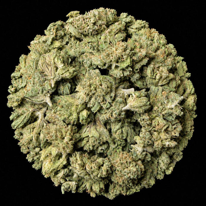 Candy Runtz THCA Flower - Lost In Translation