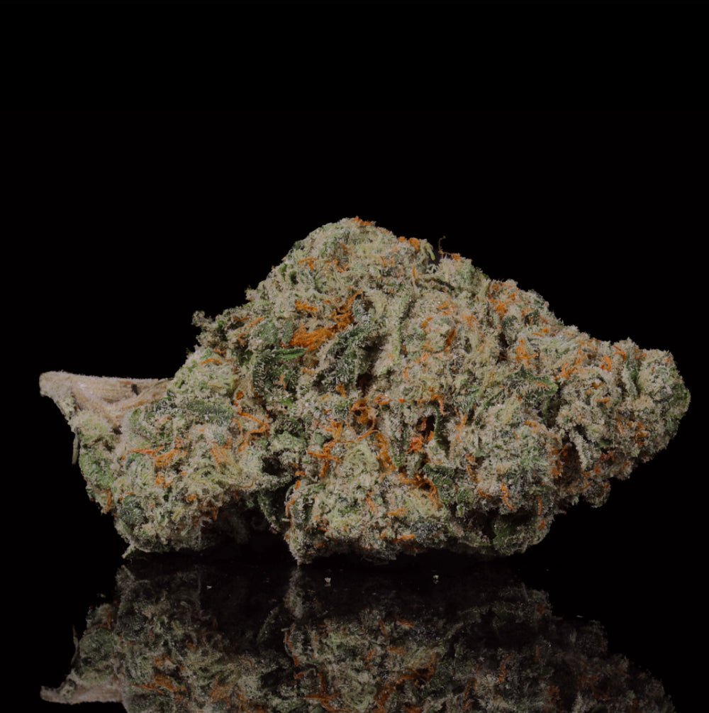 Creme Brulee THCA Flower - Lost In Translation