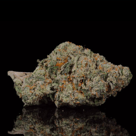 Creme Brulee THCA Flower - Lost In Translation