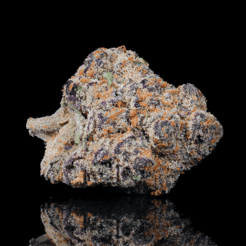 Crotch Rocket THCA Flower - Lost In Translation