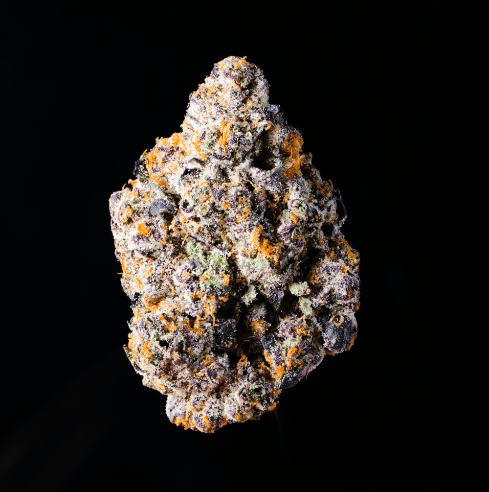 Crotch Rocket THCA Flower - Lost In Translation