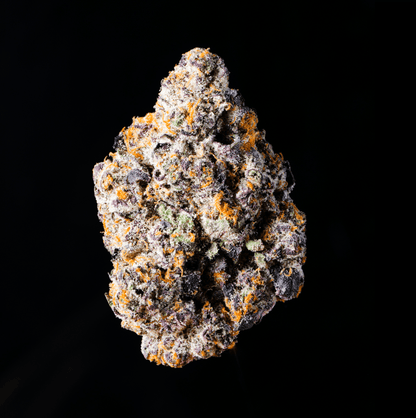 Crotch Rocket THCA Flower - Lost In Translation