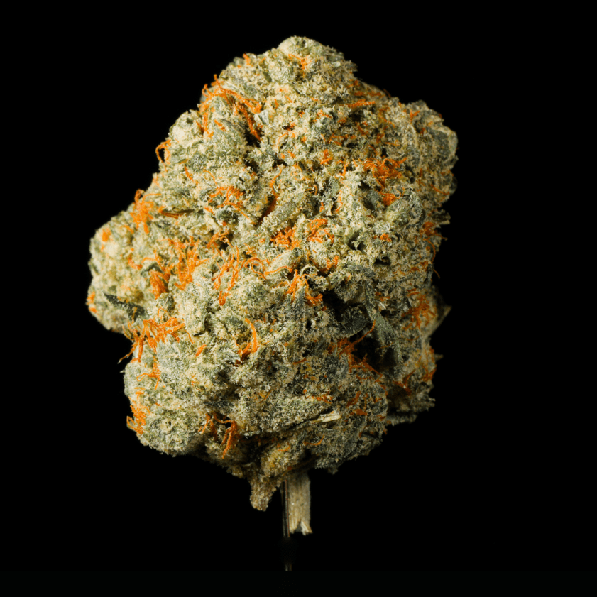 Candy Rush THCA Flower - Lost In Translation