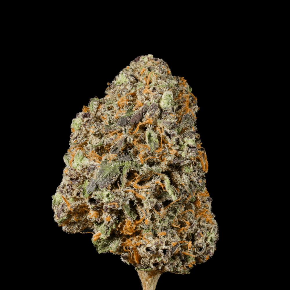 Don Murpho THCA Flower - Lost In Translation