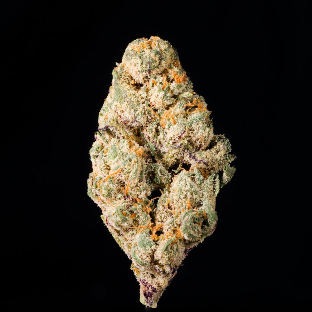 Donny Burger THCA Flower - Lost In Translation