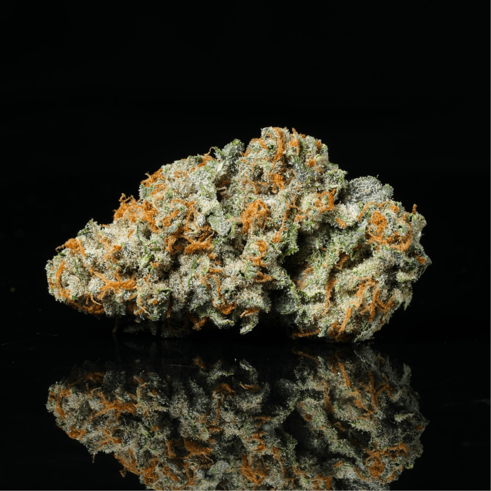 Double Runtz THCA Flower - Lost In Translation