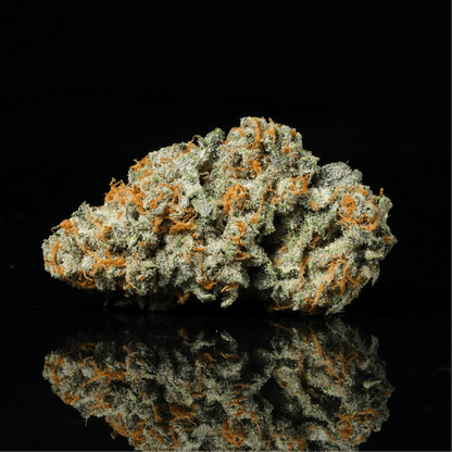 Double Runtz THCA Flower - Lost In Translation