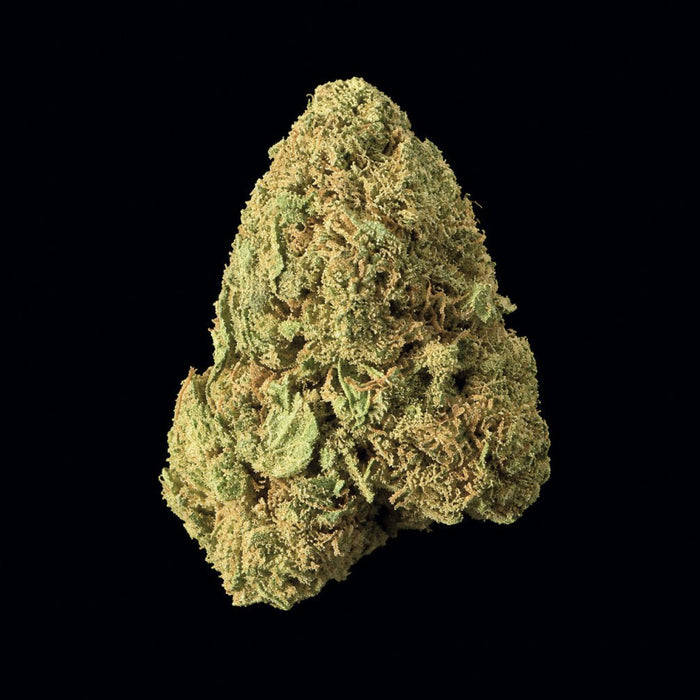 Durban Poison THCA Flower - Lost In Translation