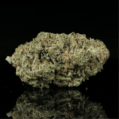 E - 85 THCA Flower - Lost In Translation