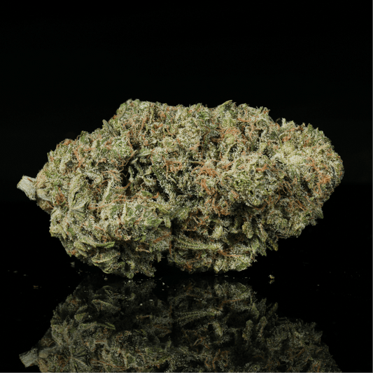 E - 85 THCA Flower - Lost In Translation