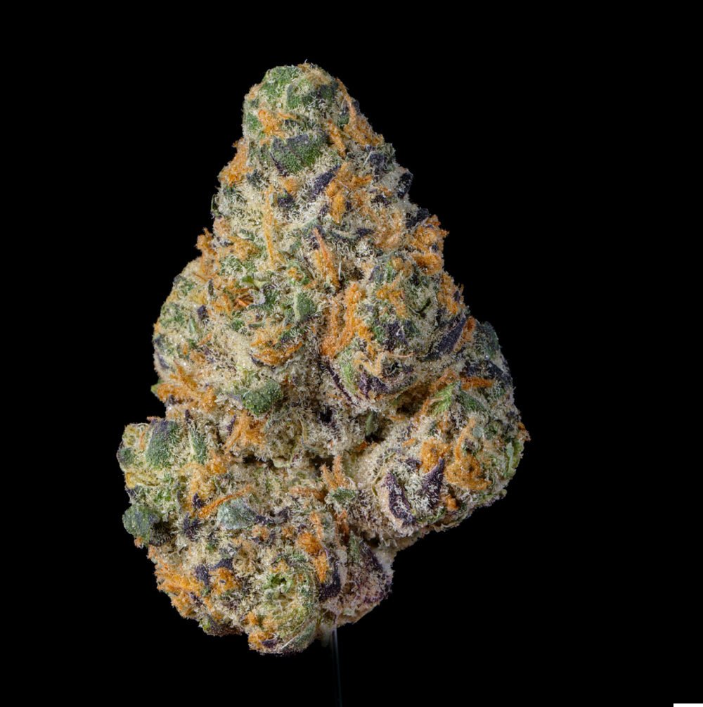 Fat Kitty THCA Flower - Lost In Translation