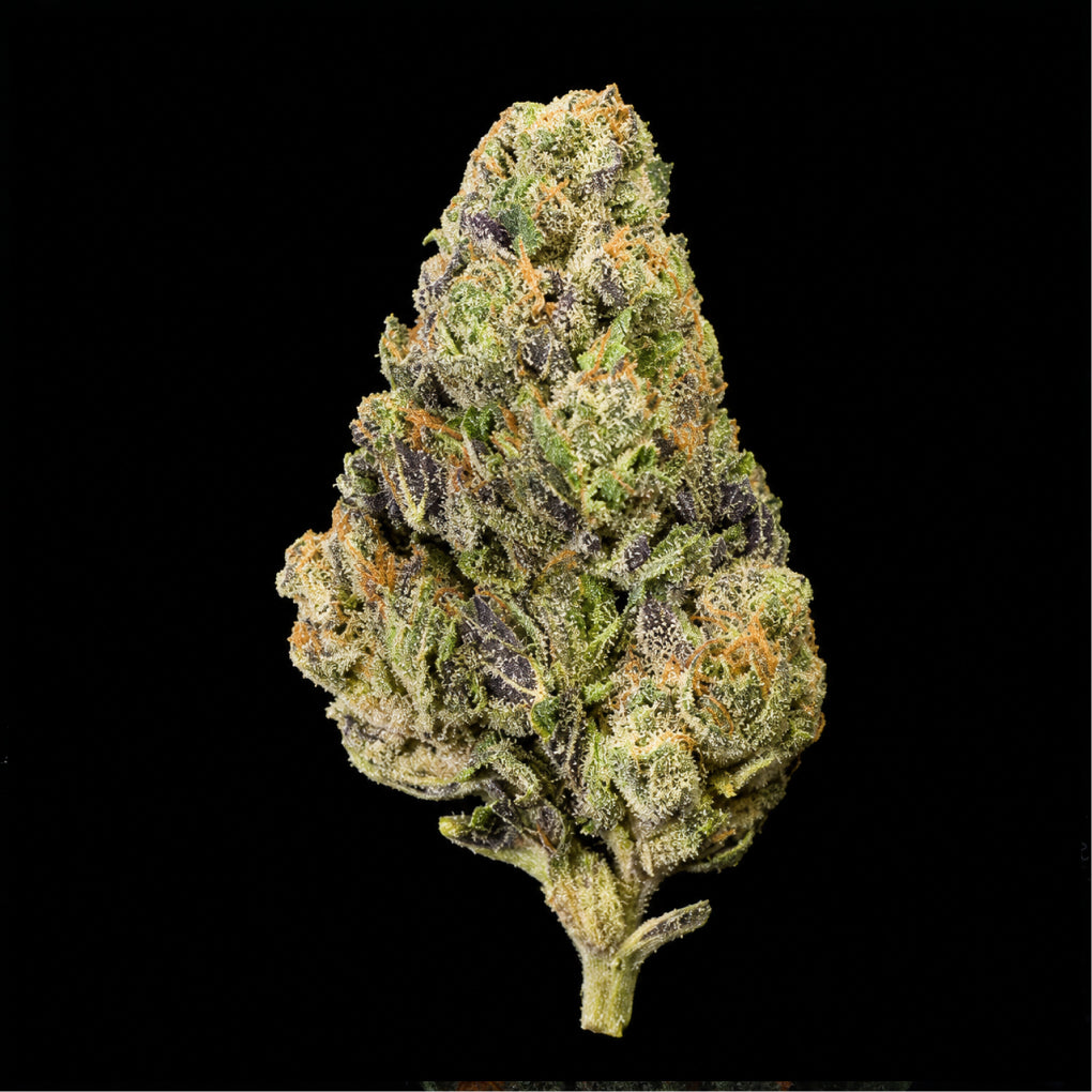 Fee Runtz THCA Flower