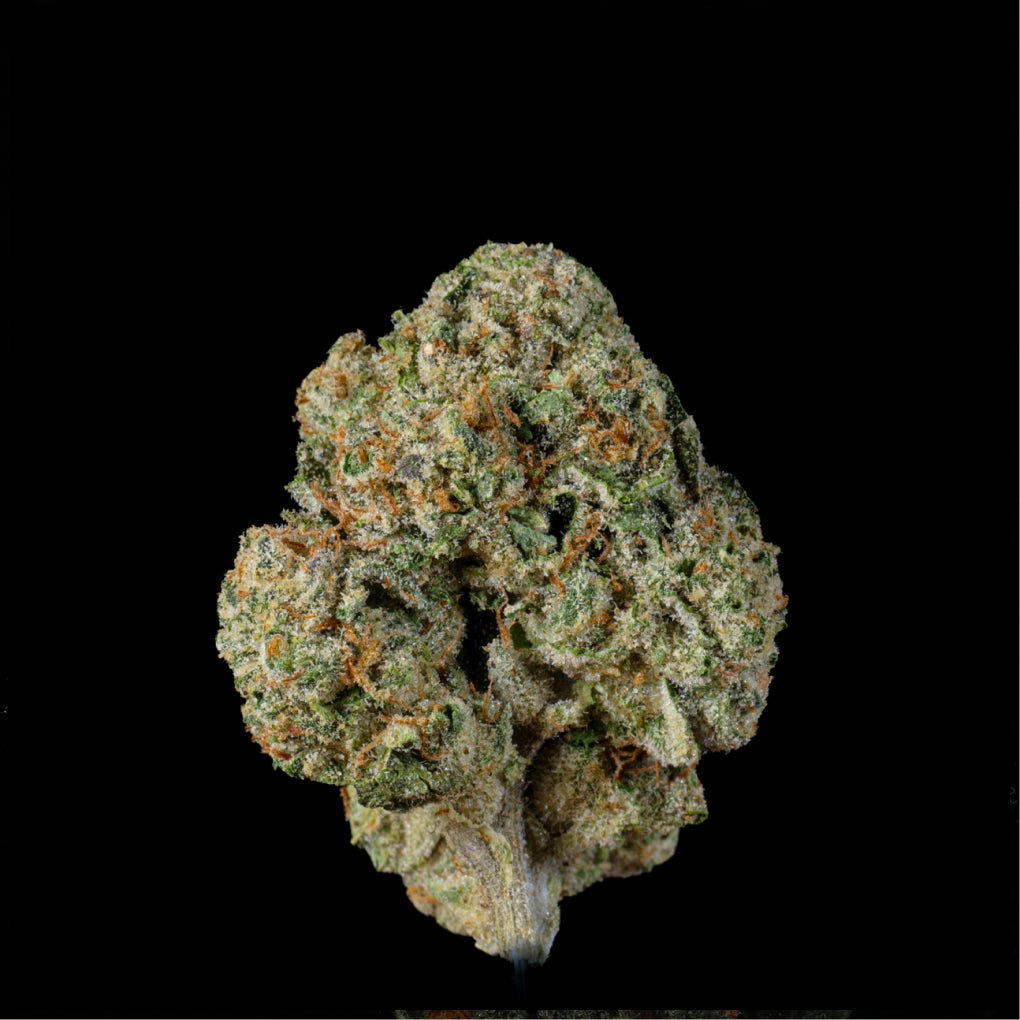 Fee Runtz THCA Flower - Lost In Translation