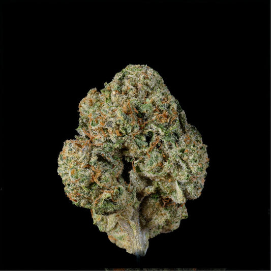 Fee Runtz THCA Flower - Lost In Translation