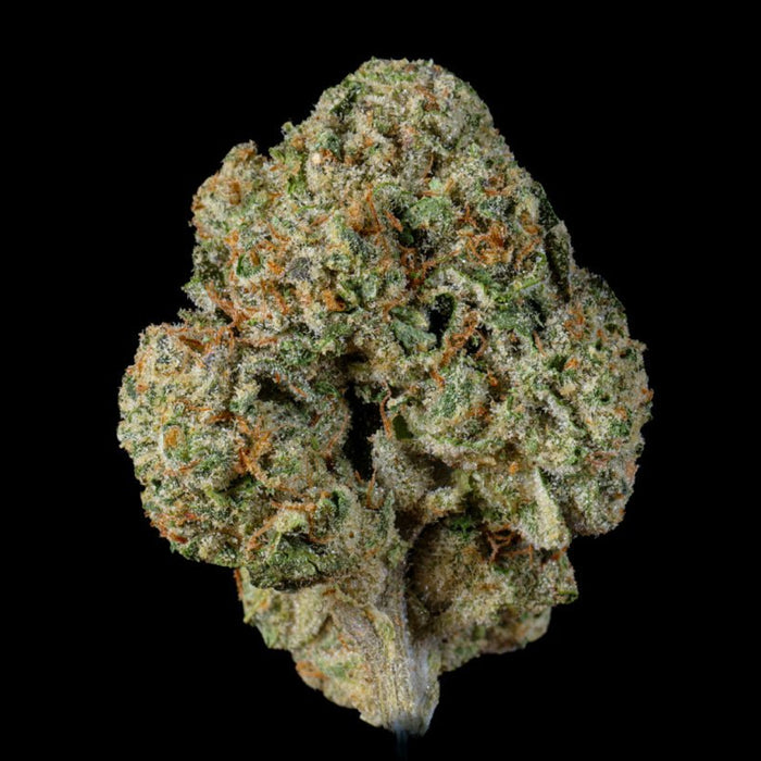 Fee Runtz THCA Flower - Lost In Translation