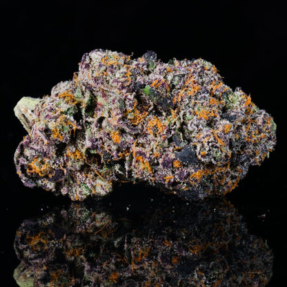 Fee Runtz THCA Flower - Lost In Translation