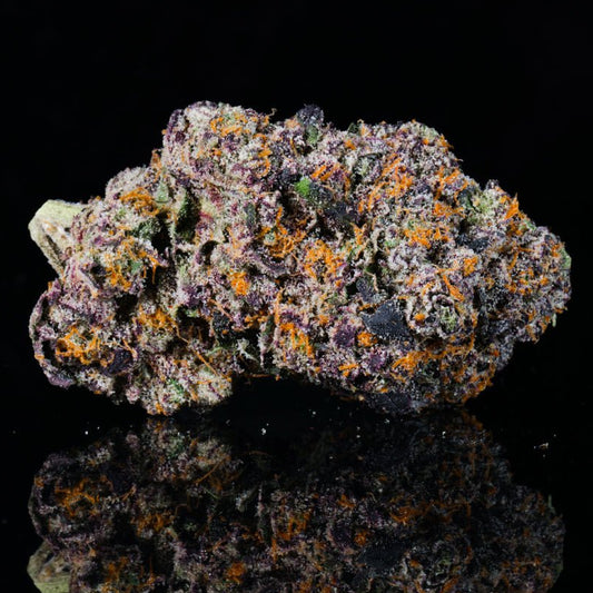 Fee Runtz THCA Flower - Lost In Translation