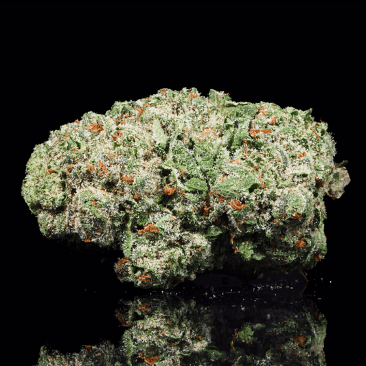 Fire Crotch THCA Flower - Lost In Translation