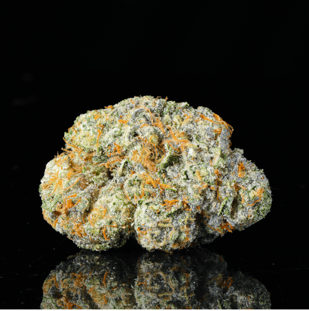 Formula One THCA Flower - Lost In Translation