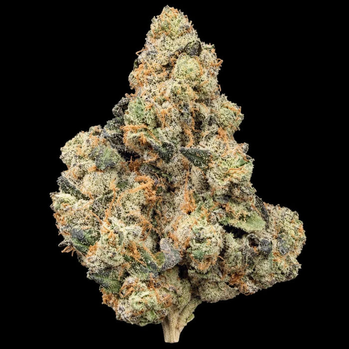Formula One THCA Flower - Lost In Translation