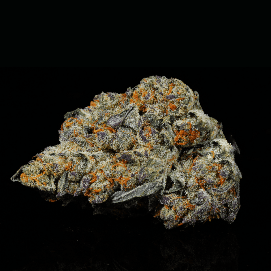 Frosted Runtz Supreme – Lost In Translation