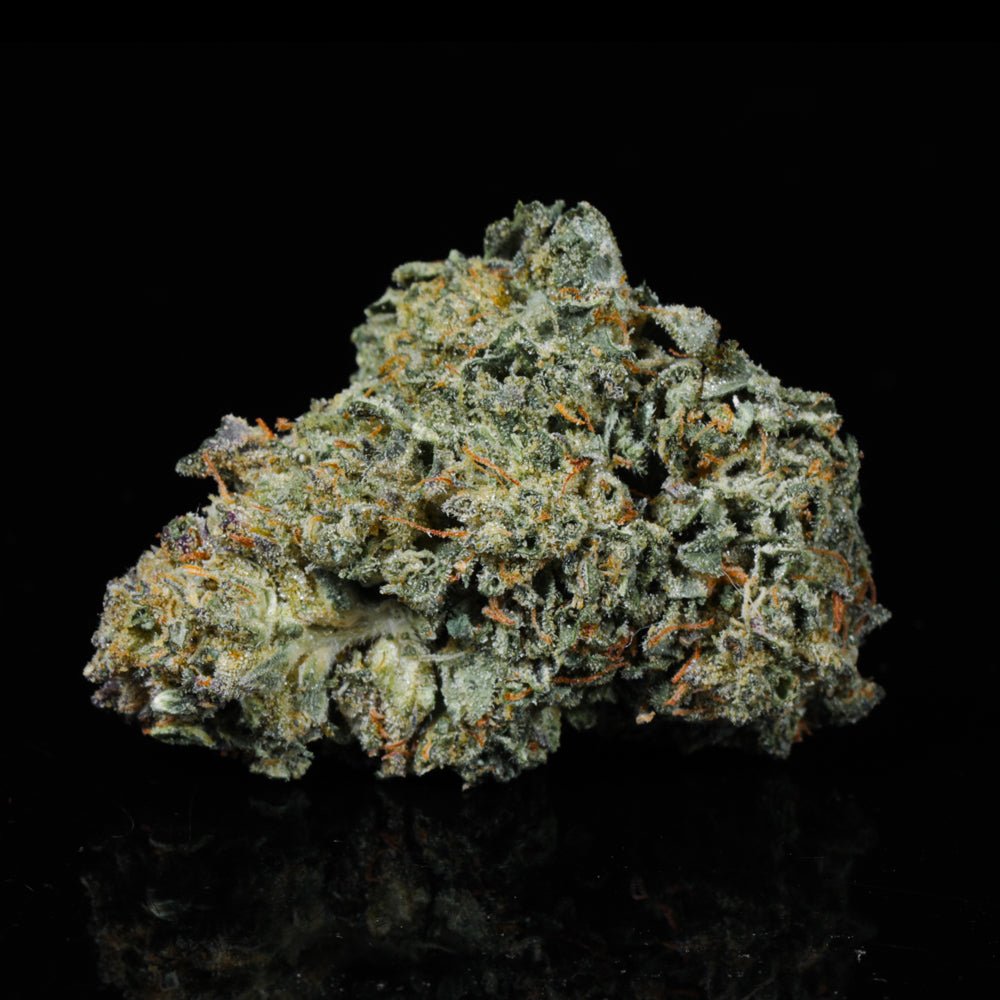 Frozen Lemonade THCA Flower - Lost In Translation