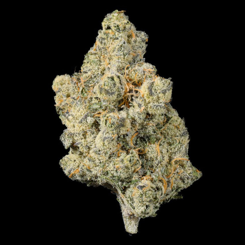 Fury THCA Flower - Lost In Translation