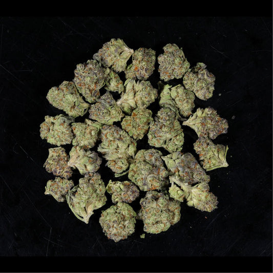 Honey Buns THCA Flower - Lost In Translation